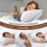 Comfort Pillow