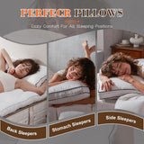 Hotel Class Pillow