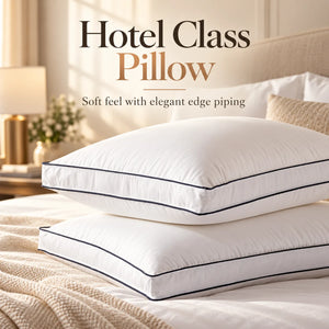 Hotel Class Pillow